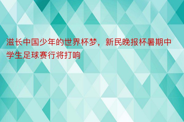 滋长中国少年的世界杯梦，新民晚报杯暑期中学生足球赛行将打响